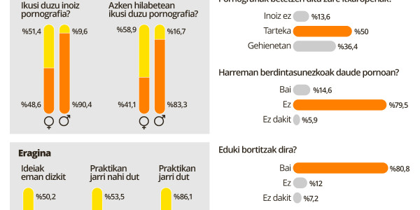 Nerabe askok ikusten dute pornografia