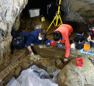 Mamut baten arrastoak aurkitu dituzte Izturitzeko kobazuloan