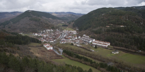 Basoa, natura eta hizkuntza gurutzatzen diren lekua