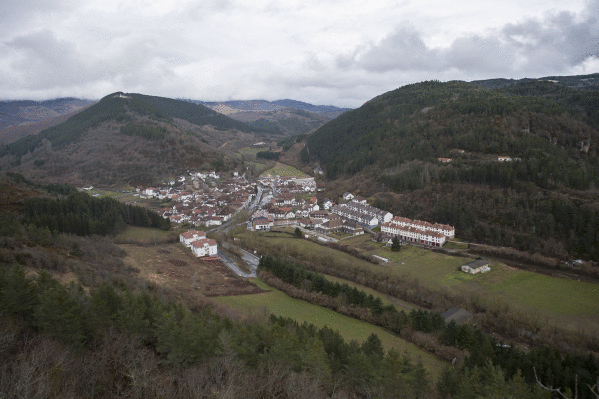 Basoa, natura eta hizkuntza gurutzatzen diren lekua
